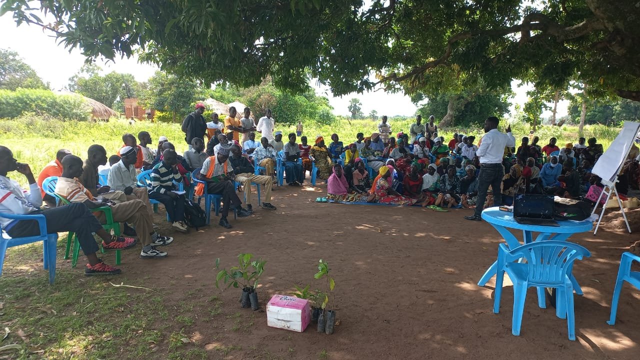Bean-ground nut intercropping demonstration plot in Arilo