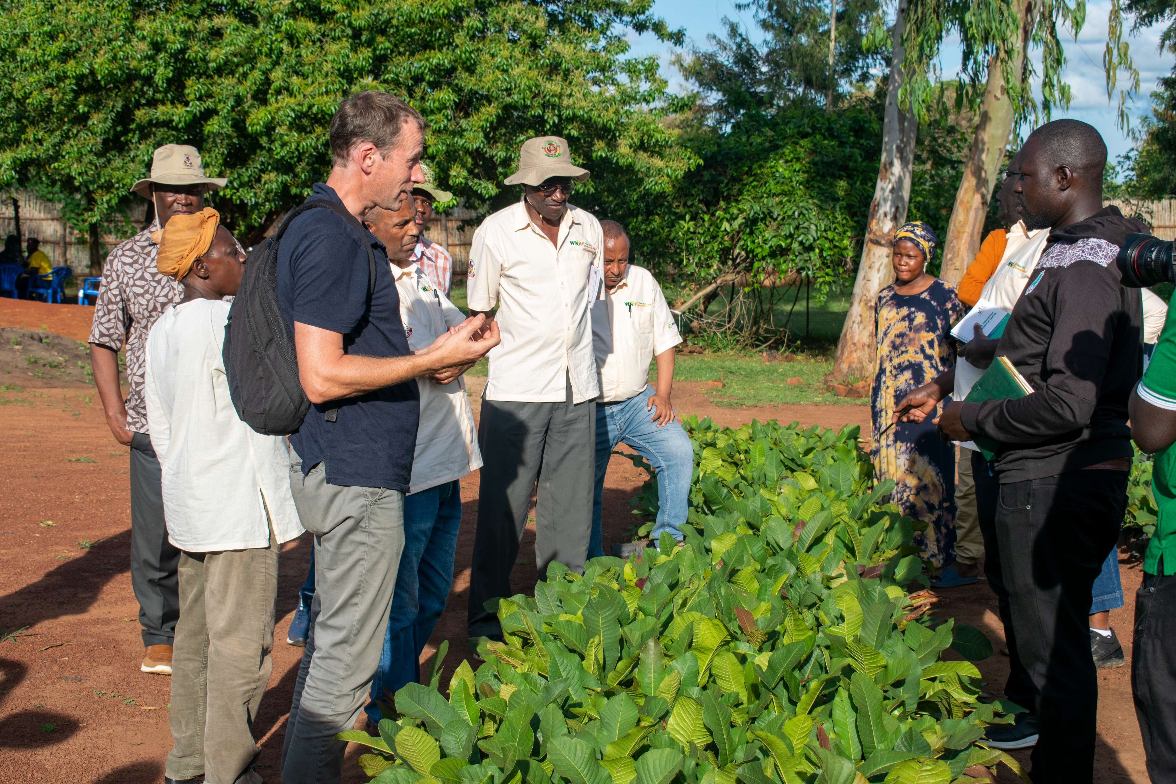 Soil Health Workstream